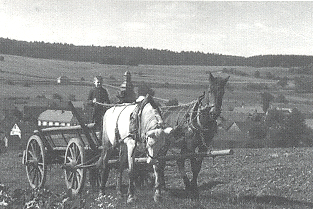 Rudi H�mel: Landwirtschaft in Lichenroth