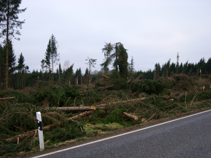 Sturmsch�den durch den Orkan Kyrill im Oberland in 2007