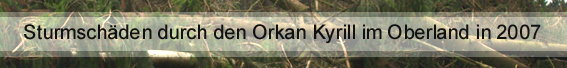 Sturmsch�den durch den Orkan Kyrill im Oberland in 2007