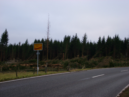 Sturmsch�den durch den Orkan Kyrill im Oberland in 2007